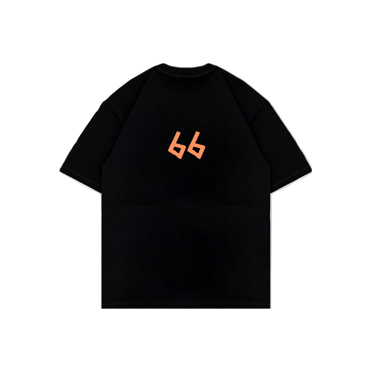 249 T-SHIRT 66